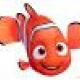 Nemo's picture